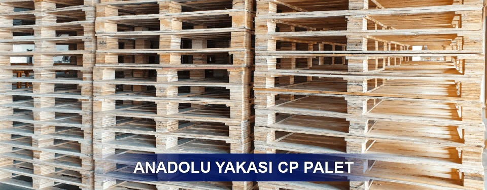 Anadolu Yakası Standart Tipler Anadolu Yakası Standart Tipler