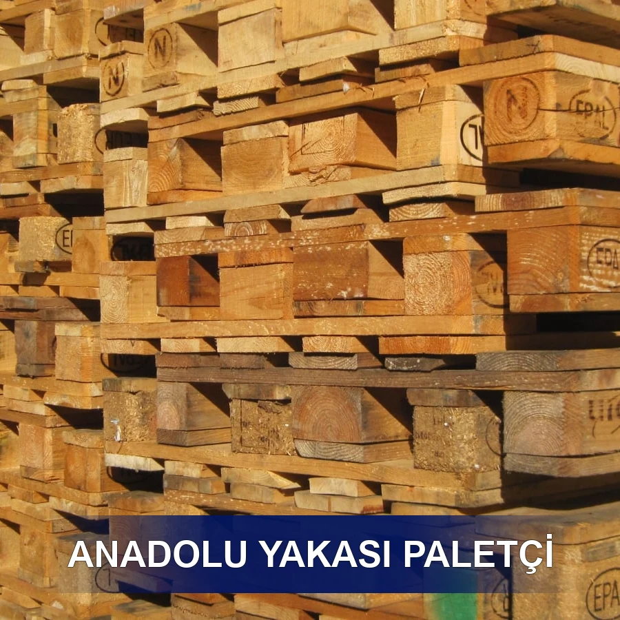 Anadolu Yakası Paletçi