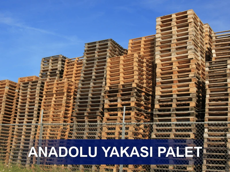 Anadolu Yakası Palet Galeri 2