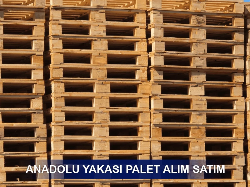 Anadolu Yakası Palet Galeri 3
