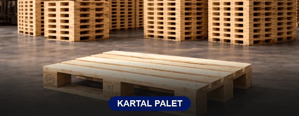 Kartal Paletçi Kartal Paletçi