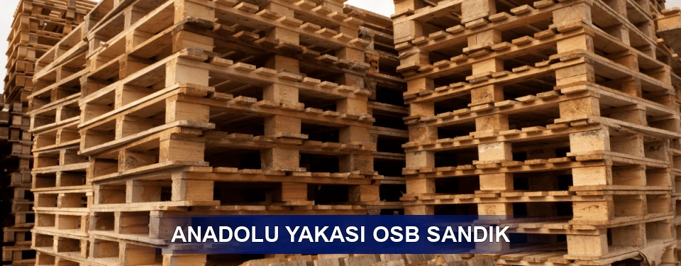 Anadolu Yakası Ölçü Planı Anadolu Yakası Ölçü Planı