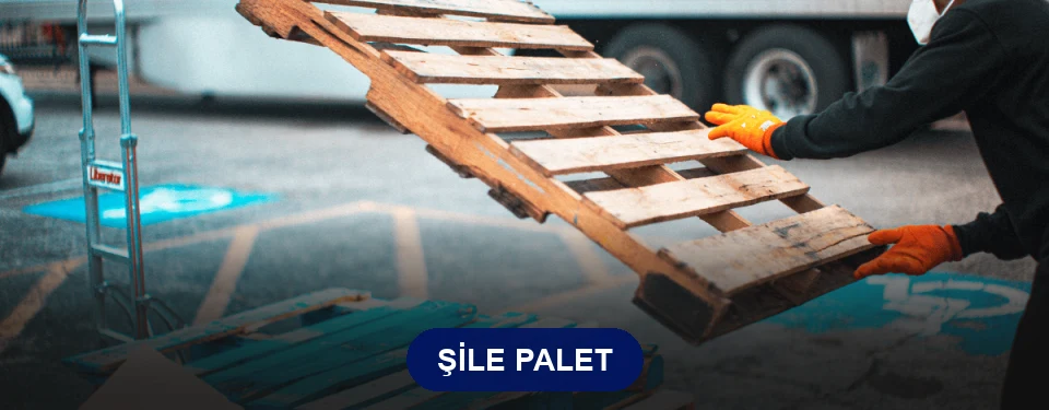 Şile Paletçi Şile Paletçi