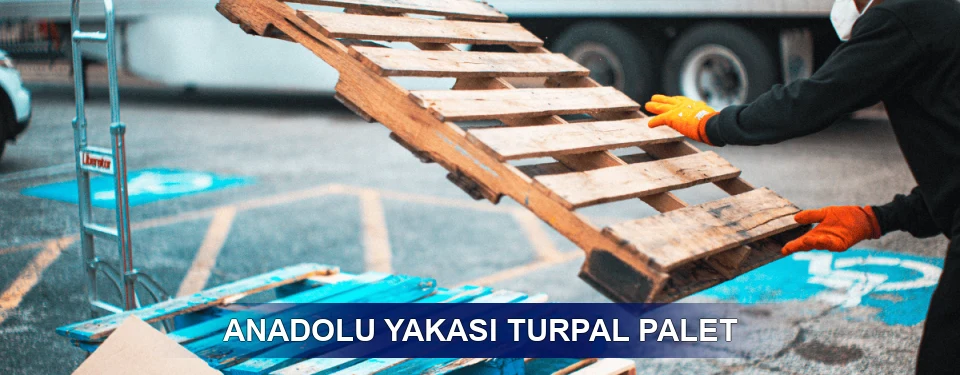 Anadolu Yakası Market Uyumu Anadolu Yakası Market Uyumu